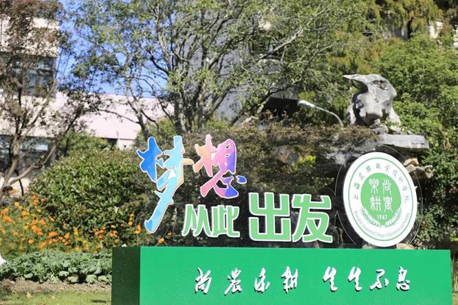 图片包含 标志, 游戏机, 树
描述已自动生成