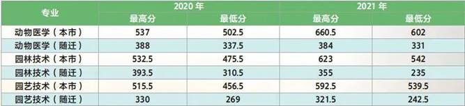 表格
描述已自动生成
