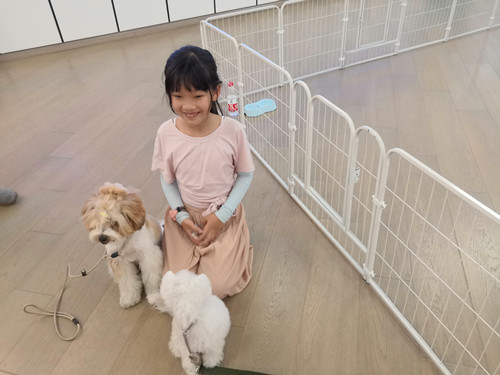 6小朋友参与体验_副本.jpg 6小朋友参与体验_副本.jpg